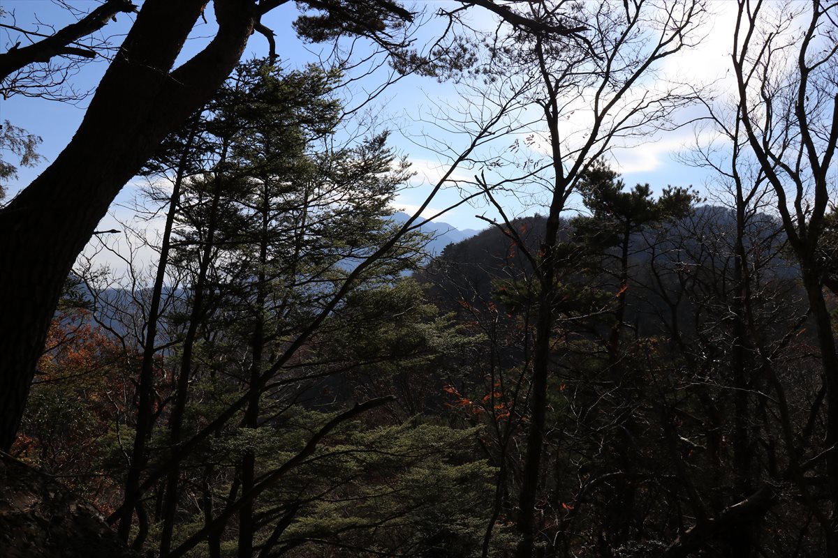 f:id:SISIS:20211221225729j:plain