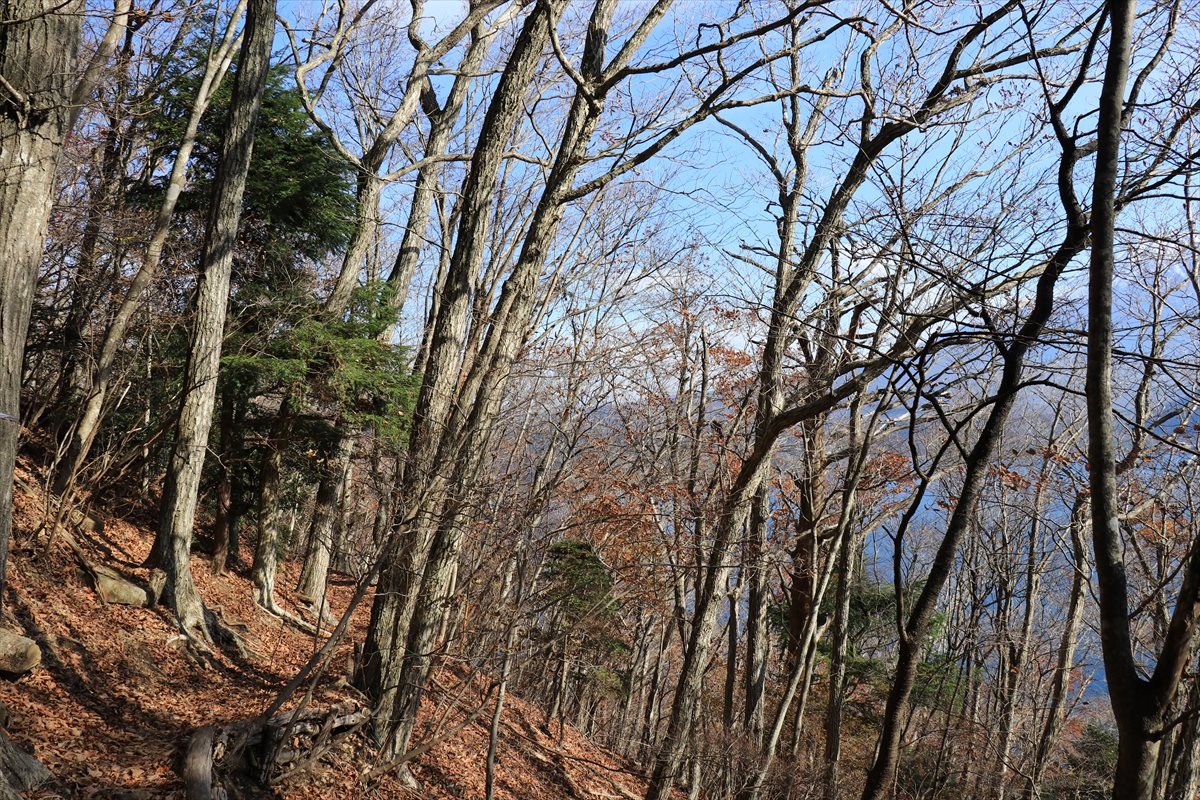 f:id:SISIS:20211221225739j:plain