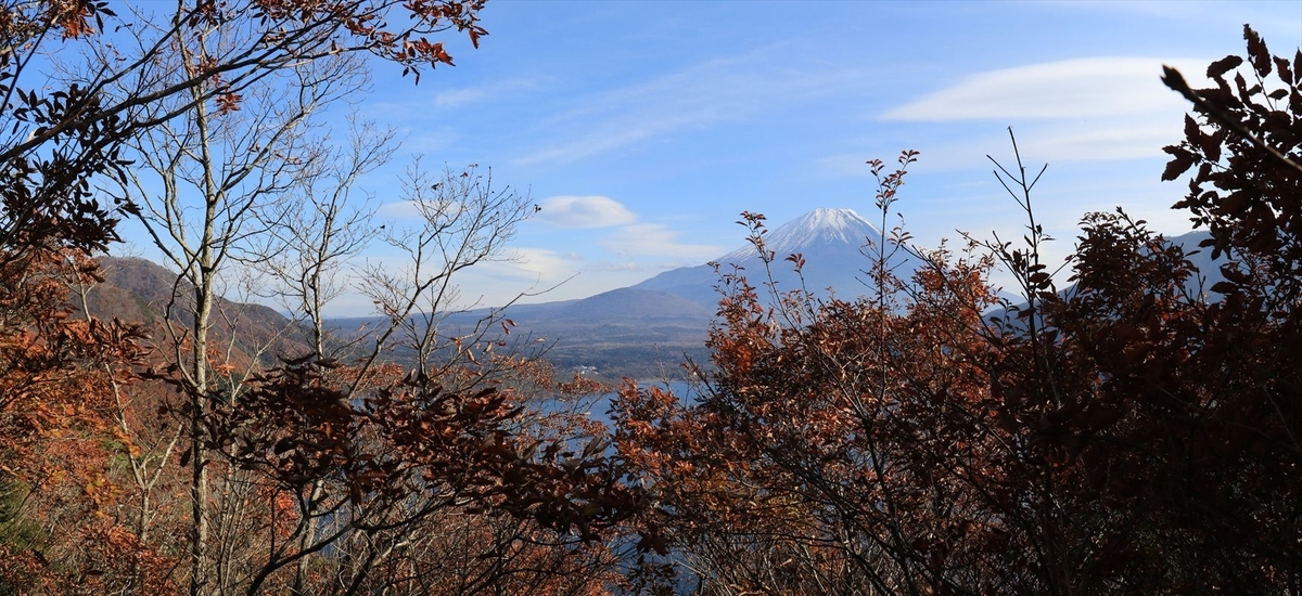 f:id:SISIS:20211221225742j:plain