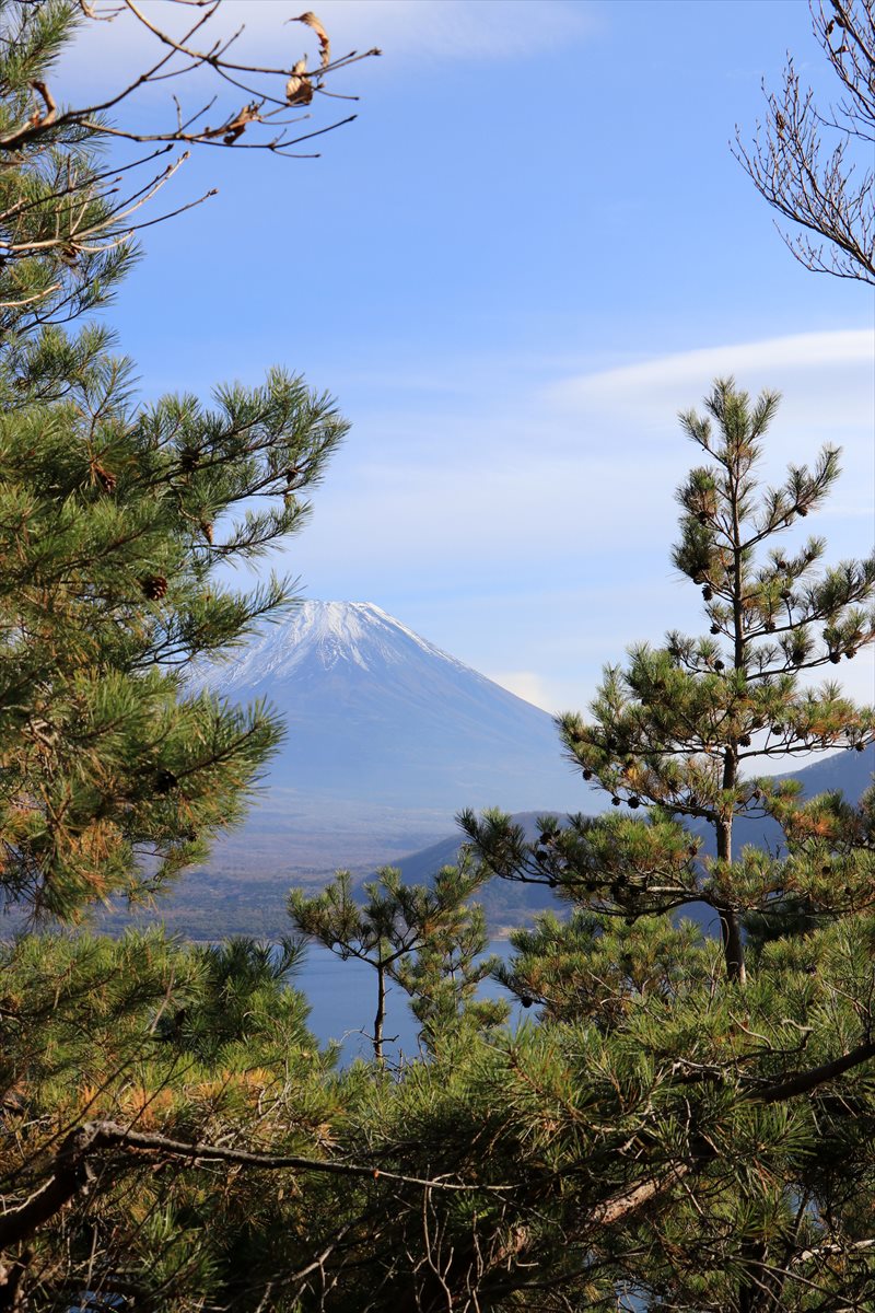 f:id:SISIS:20211221225753j:plain