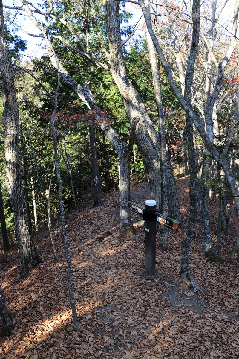 f:id:SISIS:20211221225821j:plain