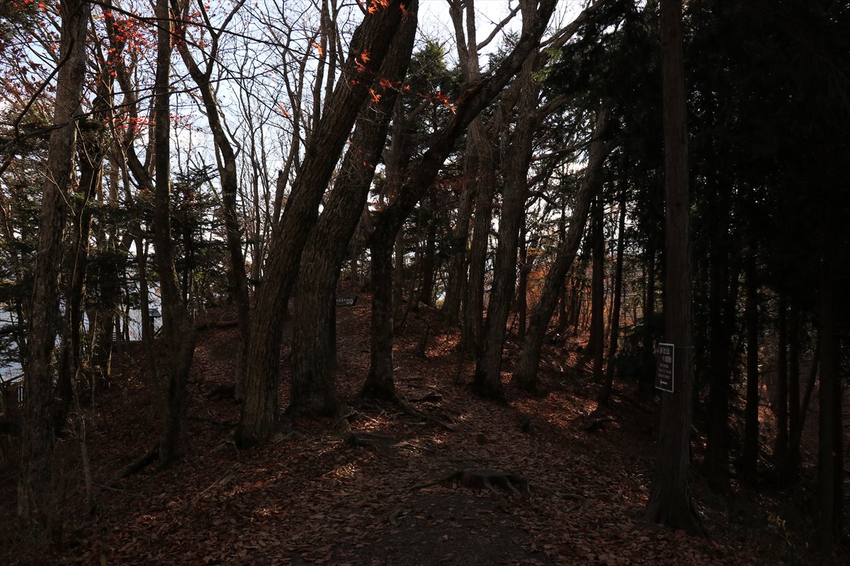 f:id:SISIS:20211221225831j:plain