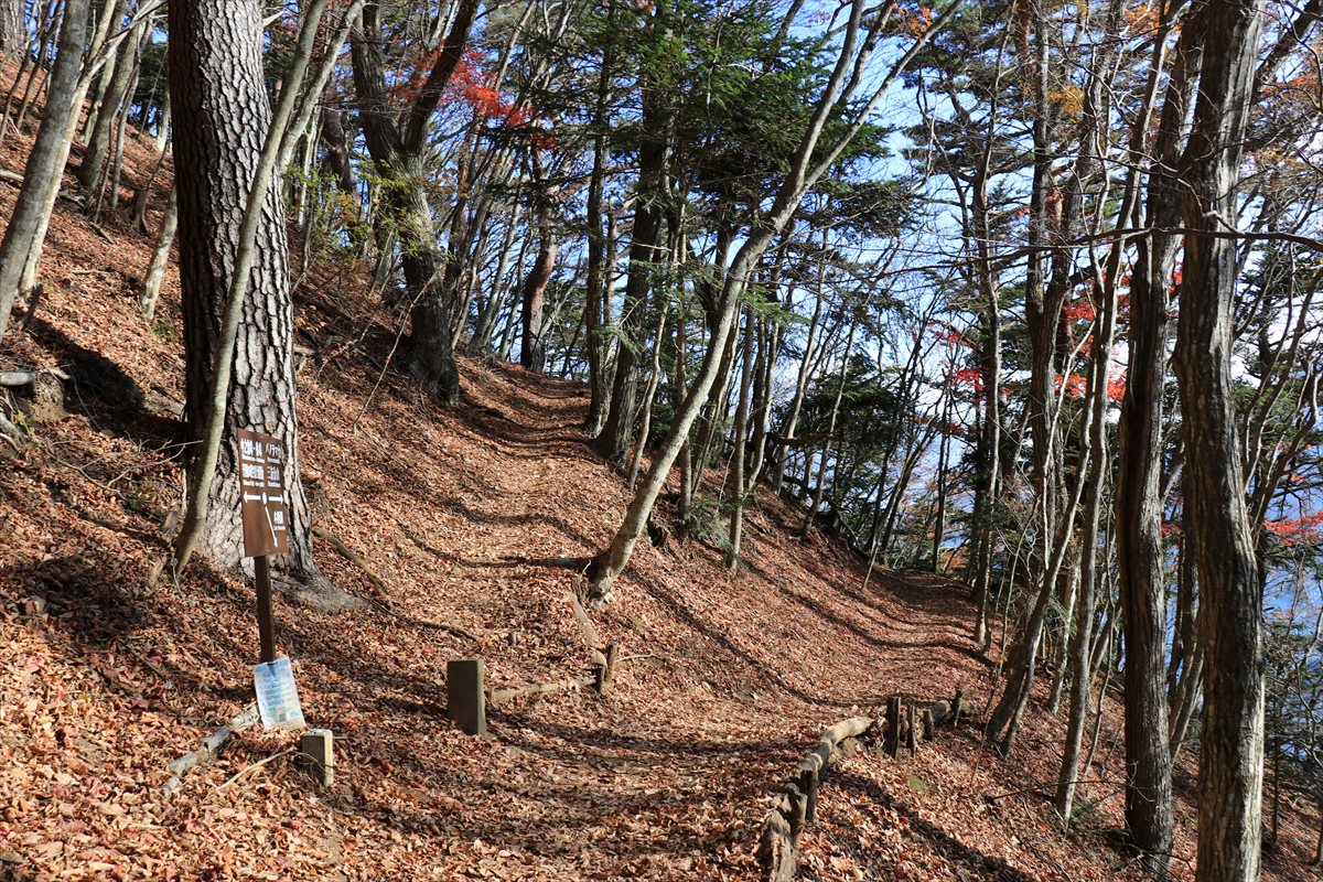 f:id:SISIS:20211221225839j:plain