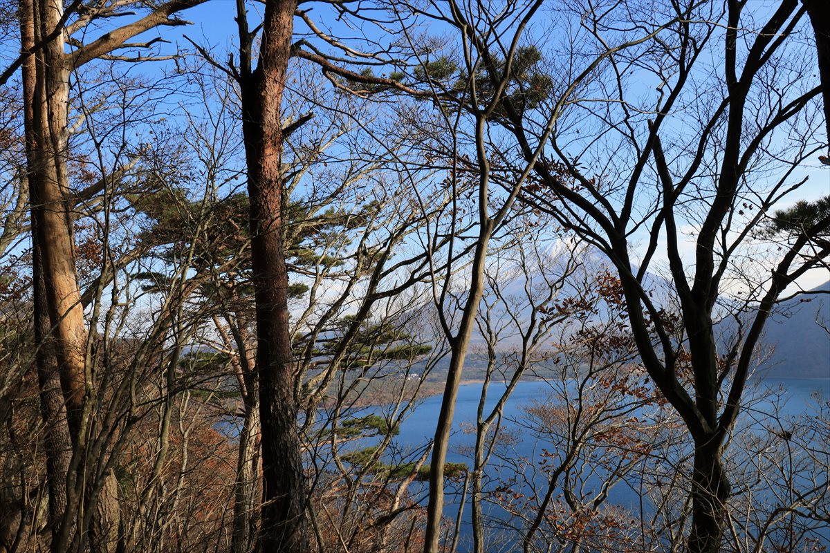 f:id:SISIS:20211221225845j:plain