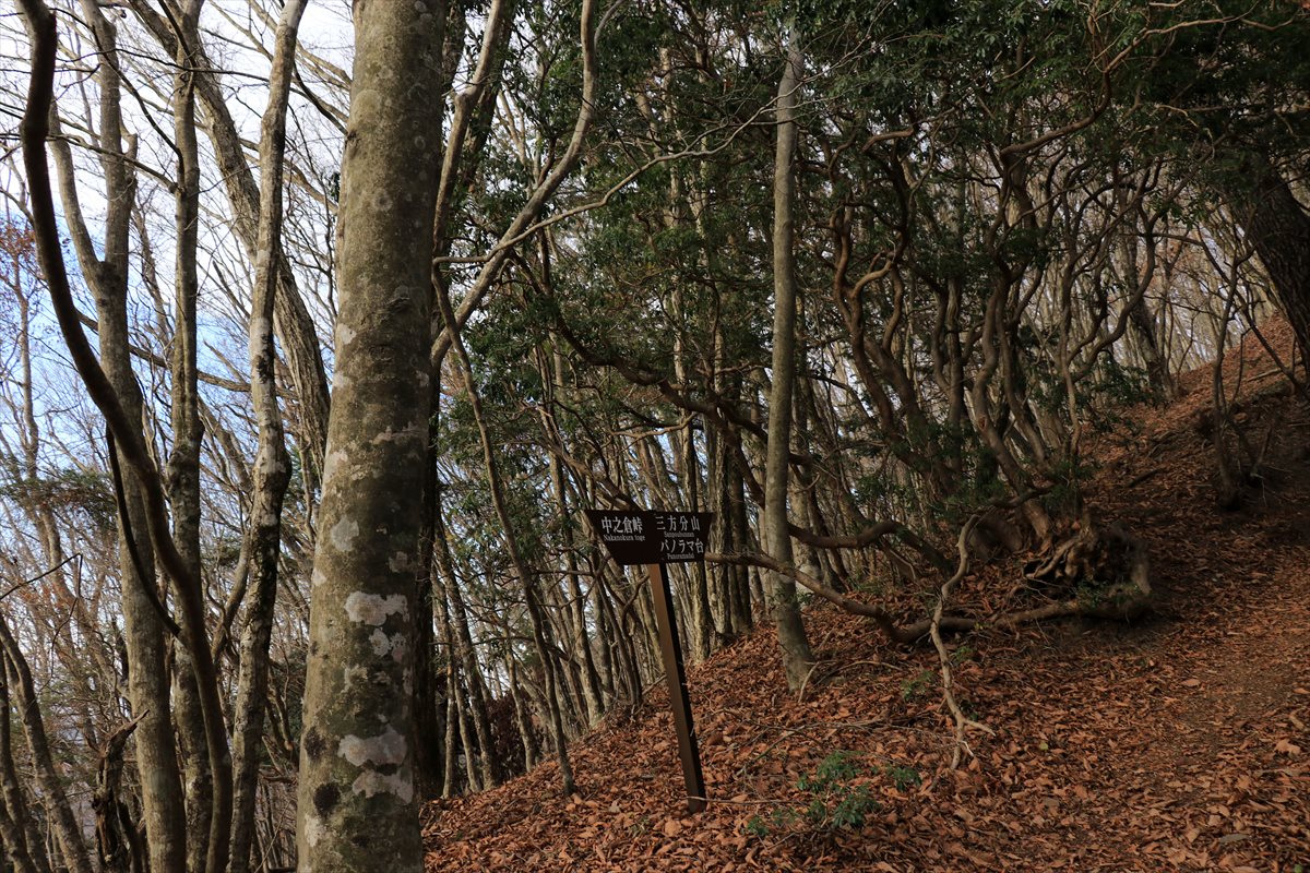 f:id:SISIS:20211221225913j:plain