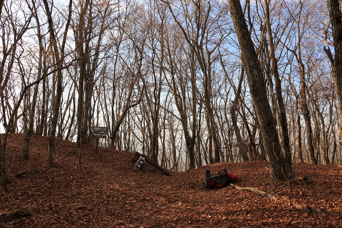 f:id:SISIS:20211221225919j:plain