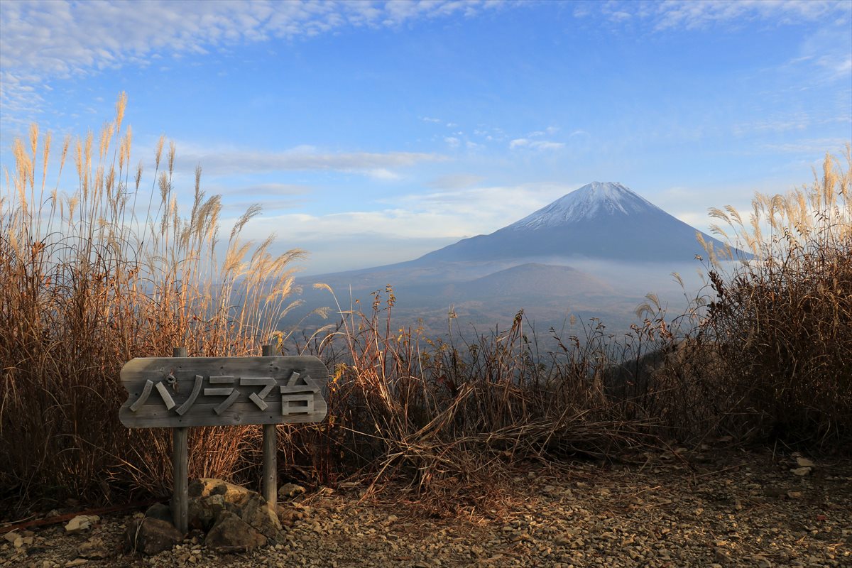 f:id:SISIS:20211221225946j:plain