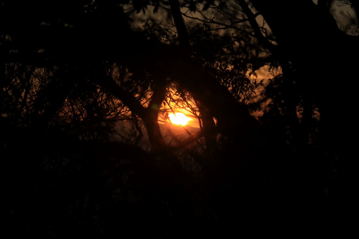 f:id:SISIS:20211221230024j:plain