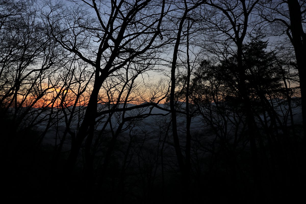 f:id:SISIS:20211221230026j:plain