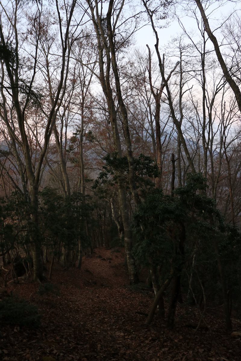 f:id:SISIS:20211221230030j:plain