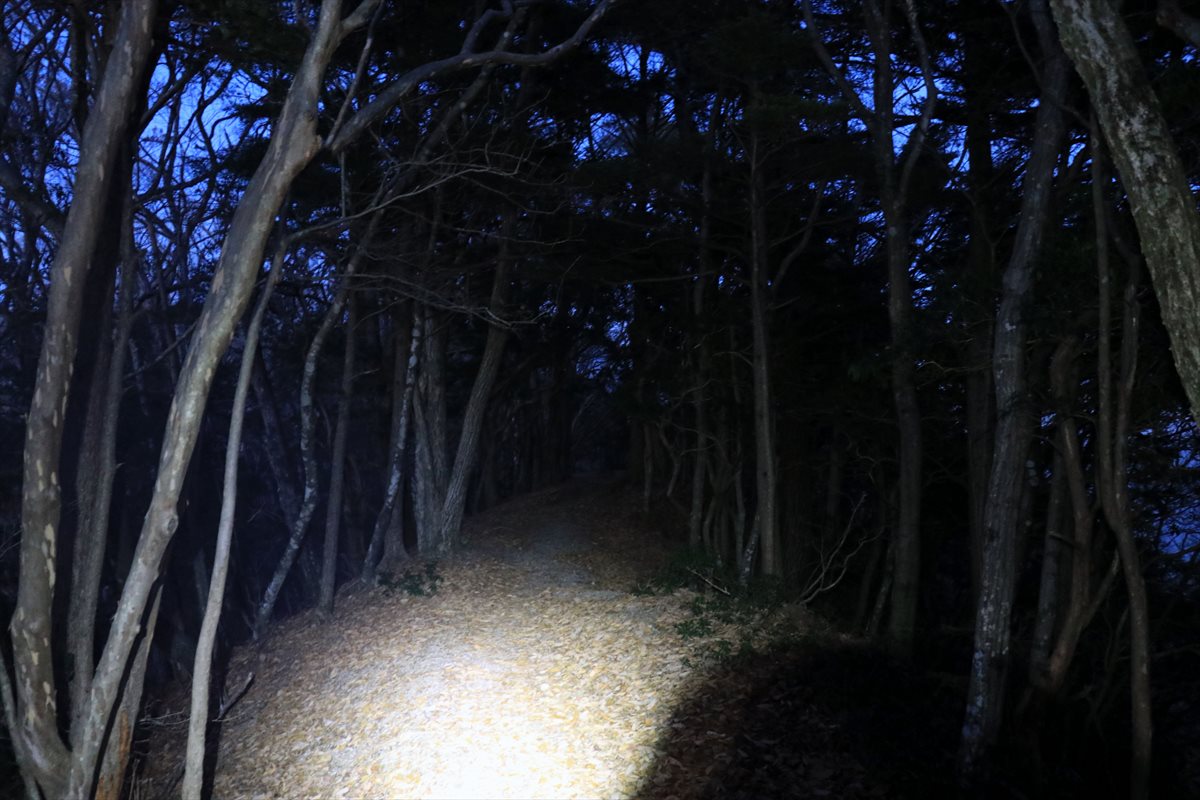 f:id:SISIS:20211221230033j:plain