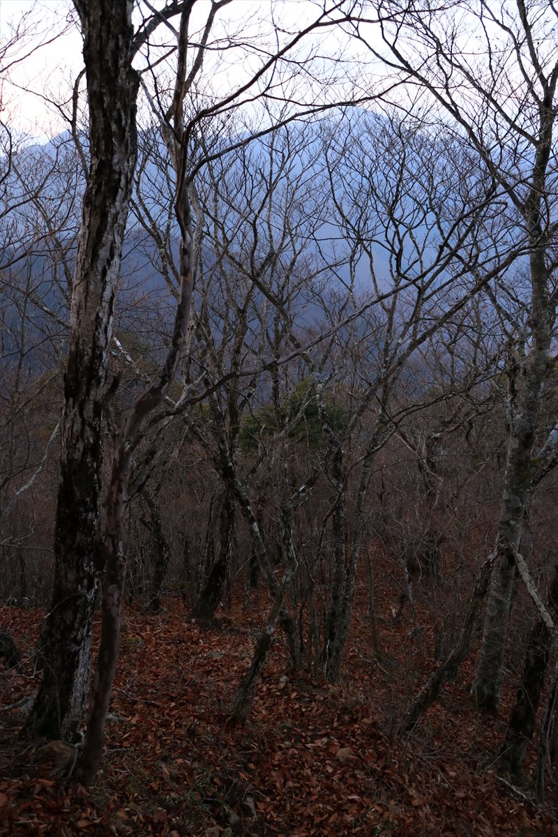 f:id:SISIS:20220104195428j:plain