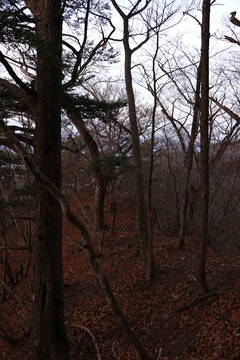 f:id:SISIS:20220104195436j:plain