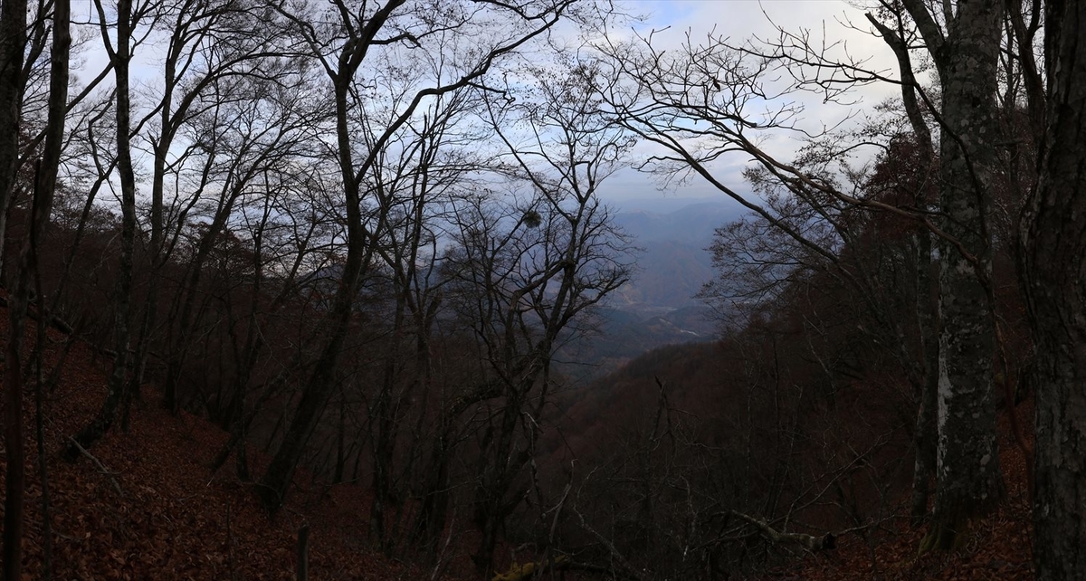 f:id:SISIS:20220104195707j:plain