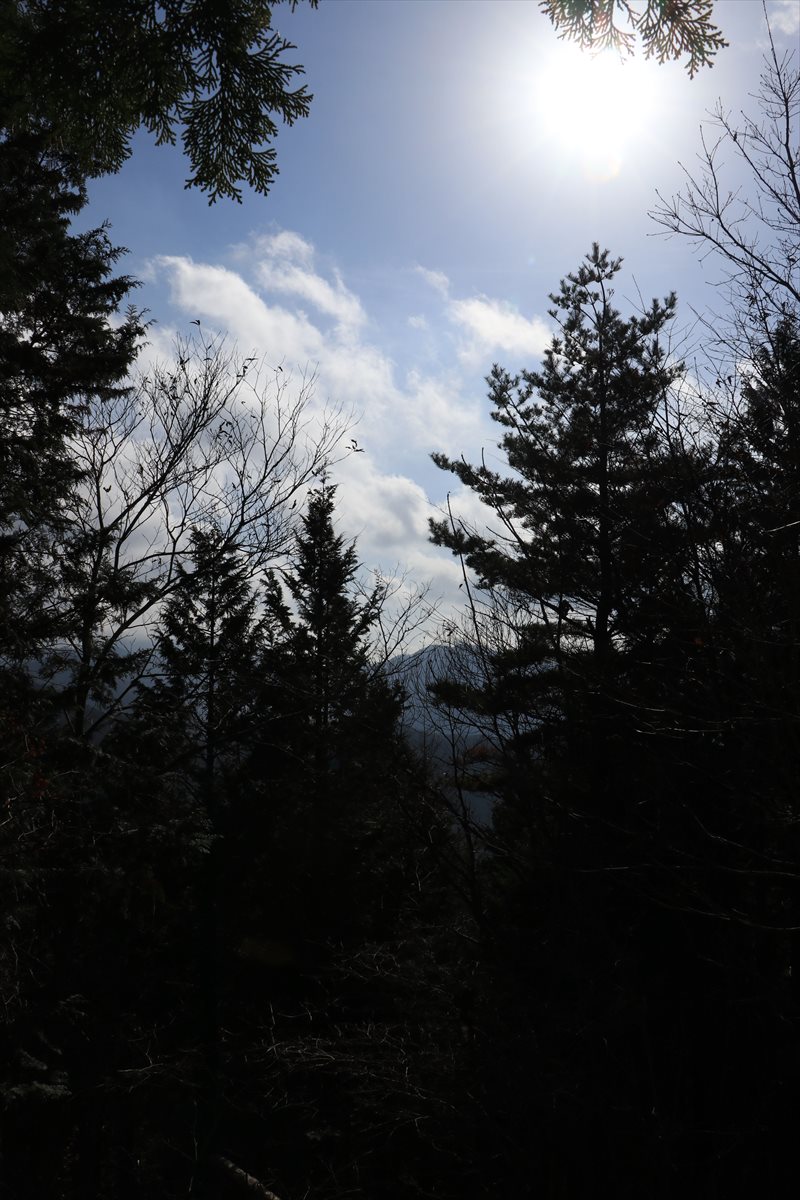 f:id:SISIS:20220104195830j:plain