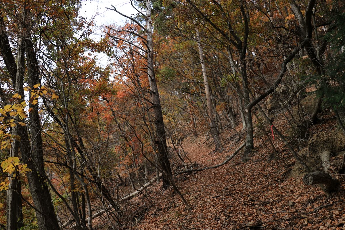 f:id:SISIS:20220104200034j:plain