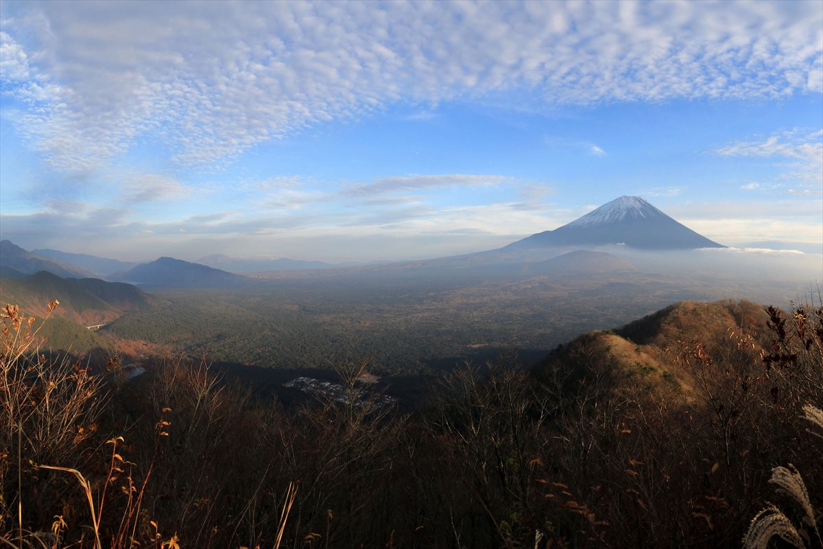 f:id:SISIS:20220117012420j:plain