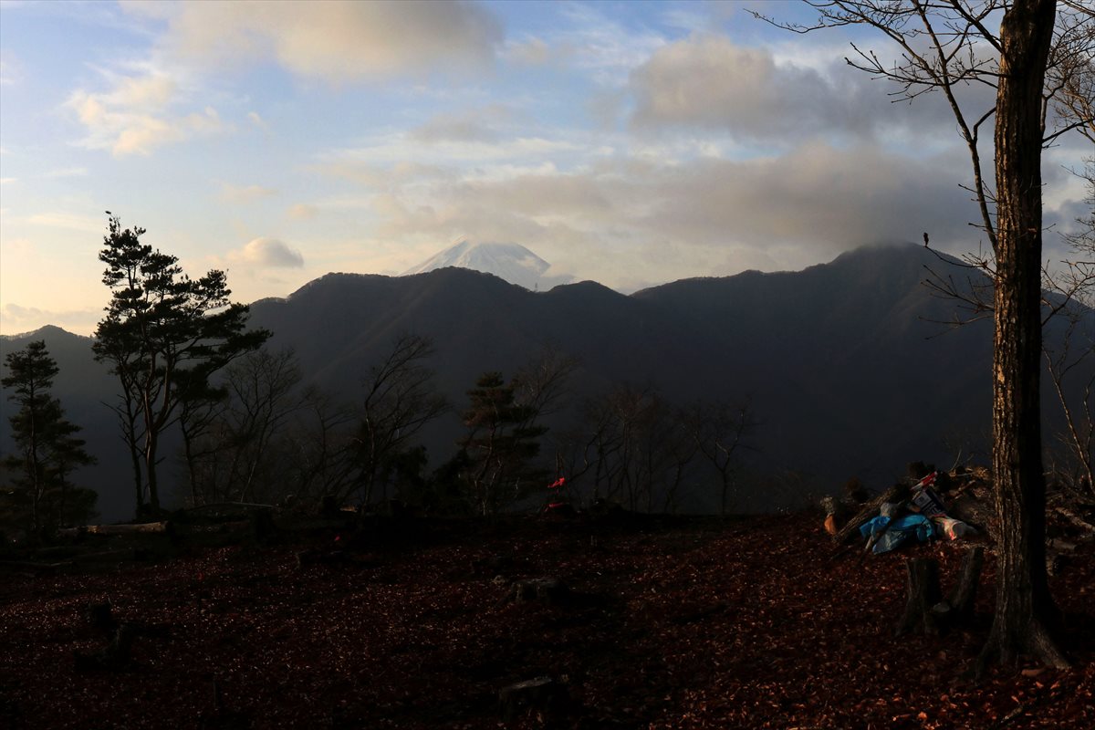 f:id:SISIS:20220117012429j:plain