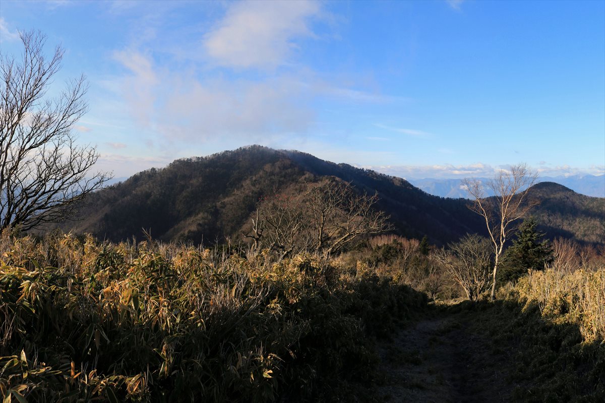 f:id:SISIS:20220117094909j:plain