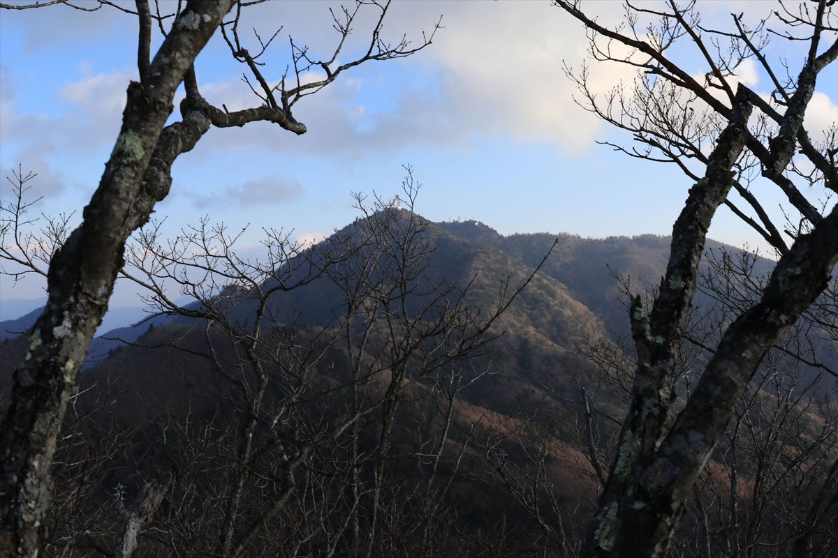 f:id:SISIS:20220117100032j:plain