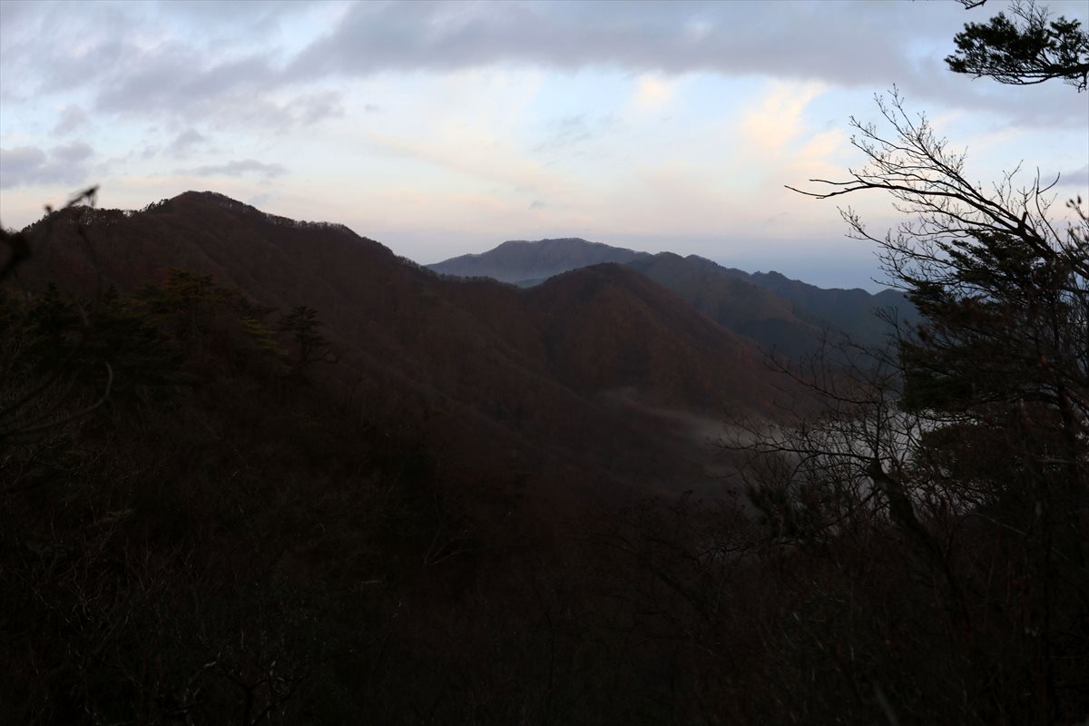 f:id:SISIS:20220117100039j:plain