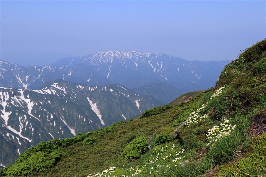 二王子岳とチングルマ(飯豊連峰の地神山の展望)