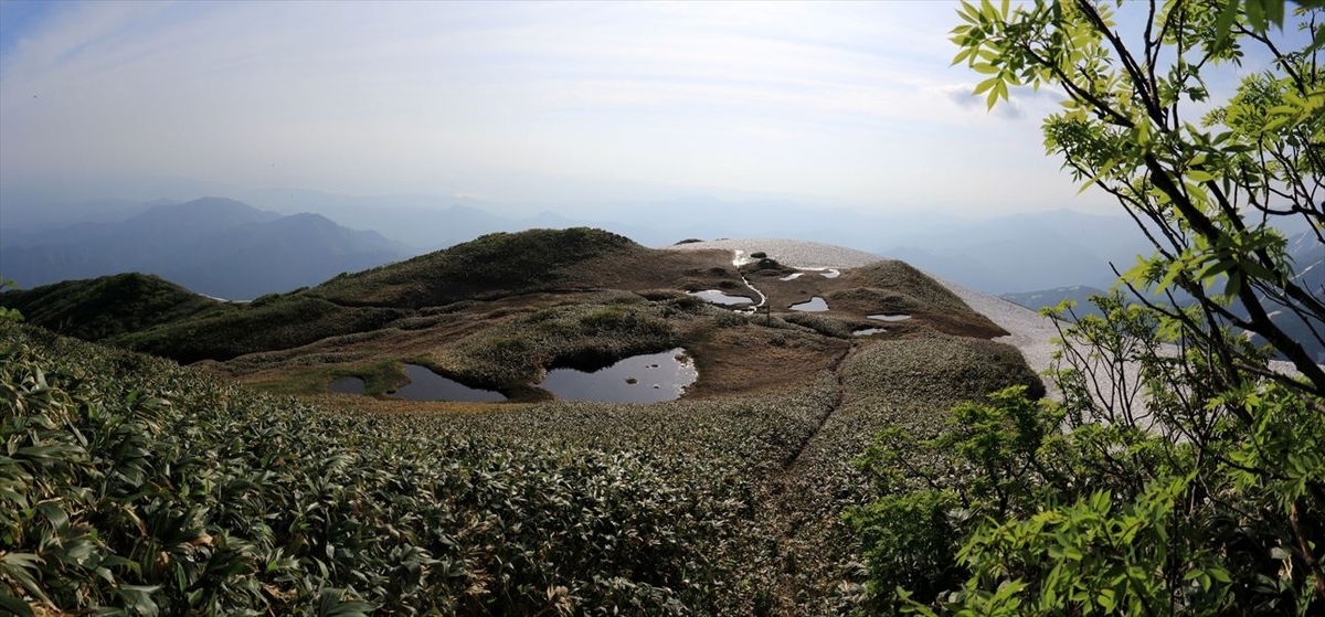 長者平の湿原の展望(飯豊連峰)