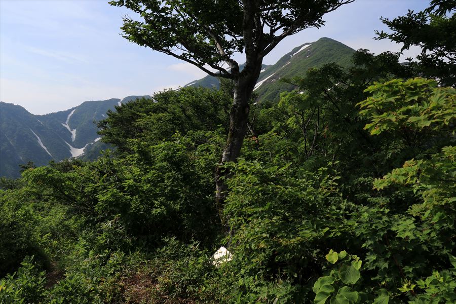 千本峰の山頂の看板(飯豊連峰の権内尾根)