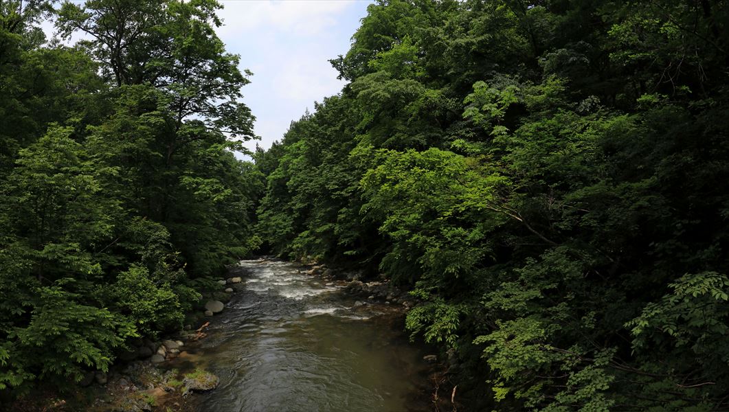 東俣川(飯豊連峰の朳差岳の権内尾根)