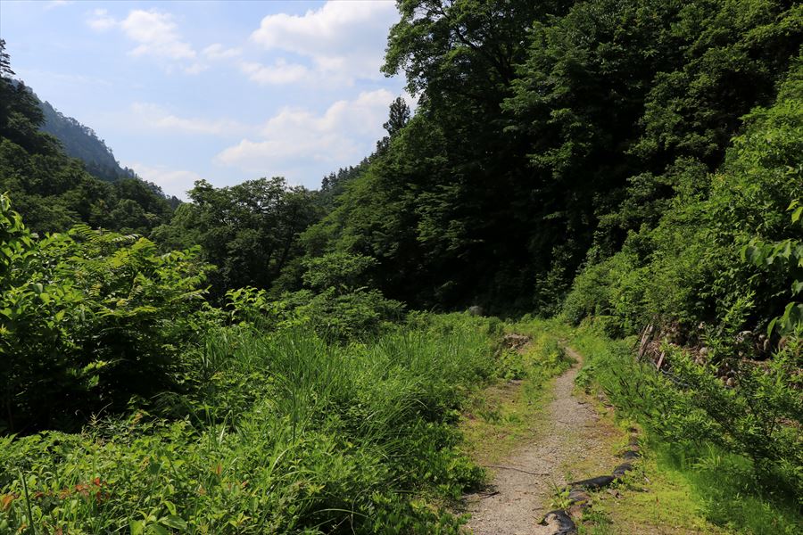東俣川林道(杁差岳の権内尾根)