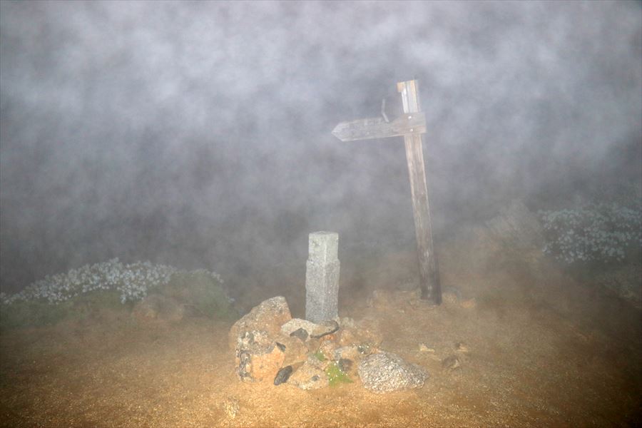越百山の山頂と三角点