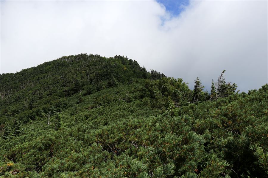 茶臼山と行者岩の藪漕ぎ