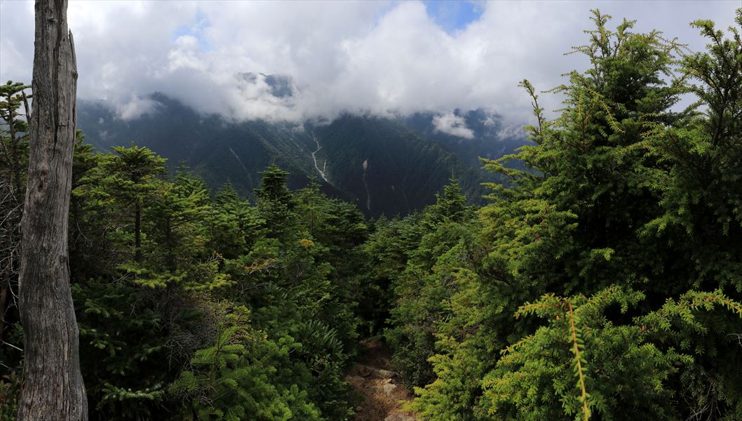 茶臼山の登山道の展望（中央アルプス）