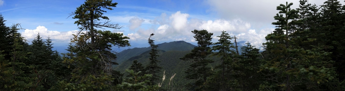 経ヶ岳（茶臼山の登山道の展望）