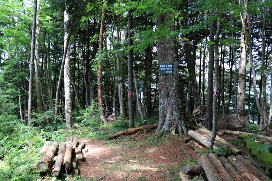 茶臼山の登山道の五合目
