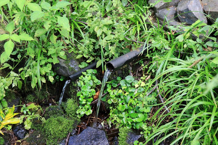 行者水（中央アルプスの茶臼山の登山道）