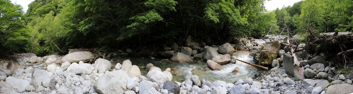 正沢川と一本橋（吊り橋）（中央アルプスの茶臼山の登山道）