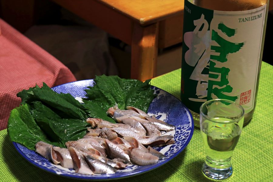 谷泉×加賀鳶 2025 純米酒 鶴野酒造店 福光屋 鯵の刺身 食事 日本酒