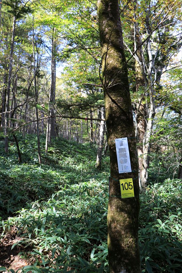 黒尾谷岳 道標 登山道 樹林帯 那須高原