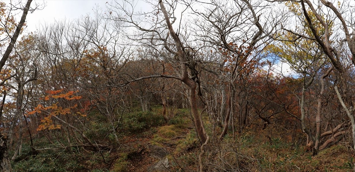 黒尾谷岳 登山道 尾根 那須岳