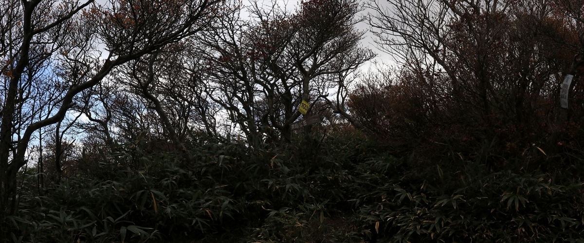 黒尾谷岳 山頂 看板 標識