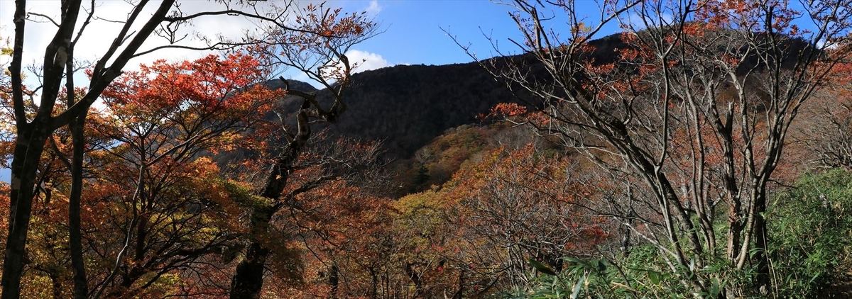 南月山 紅葉 白笹山 登山道 黒尾谷岳 遠望