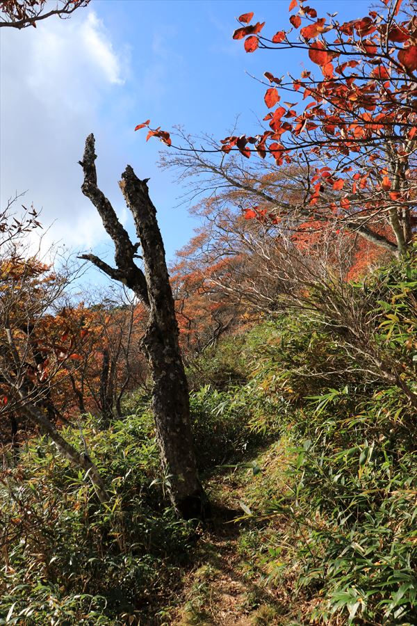 南月山 黒尾谷岳 紅葉 登山道 那須岳