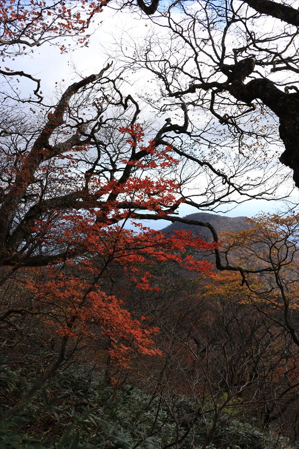 南月山 黒尾谷岳 紅葉 展望 那須岳