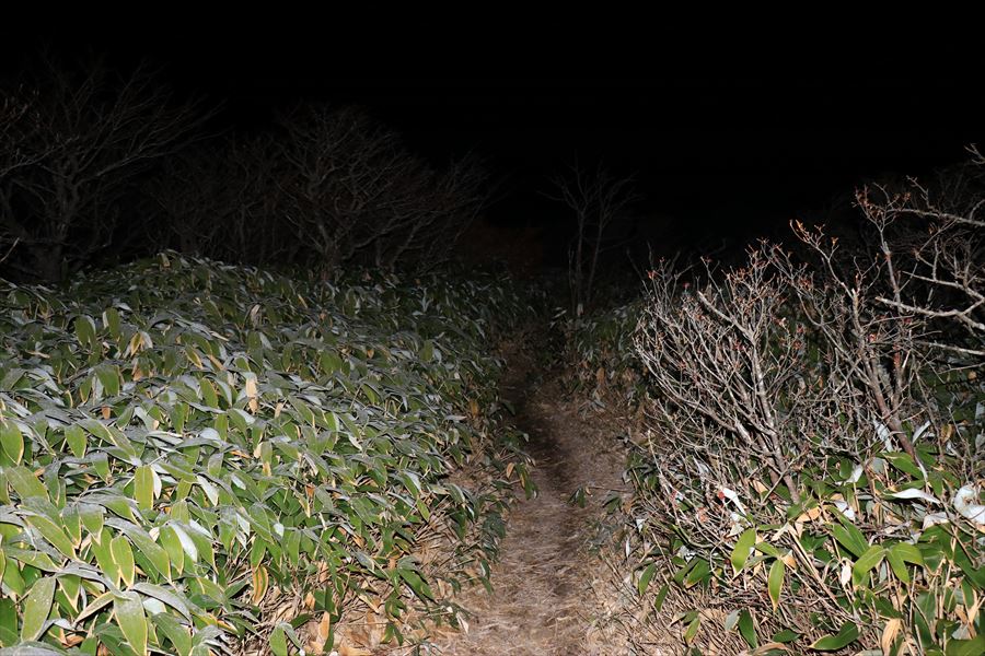 登山道 暗闇 未明 日の出平 那須岳