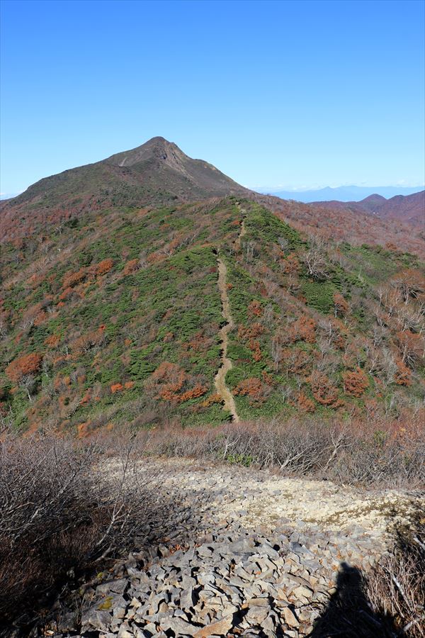 甲子旭岳 紅葉 須立山 山頂直下 ザレ場