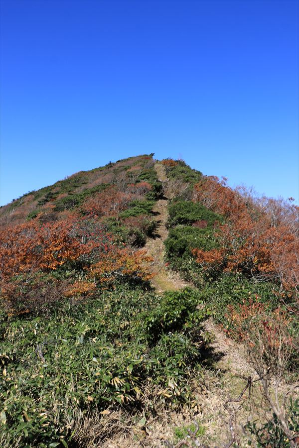須立山 坊主沼 縦走路 紅葉 那須岳