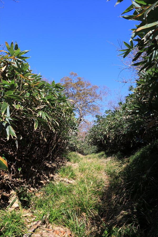 坊主沼 甲子山 縦走路 登山道 那須岳