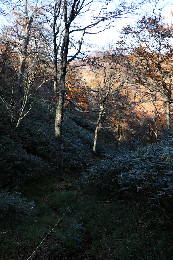 坊主沼 甲子山 縦走路 登山道 急坂 ロープ場