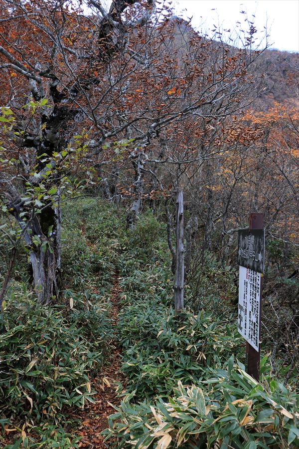 水呑場 甲子旭岳 バリエーションルート 難路